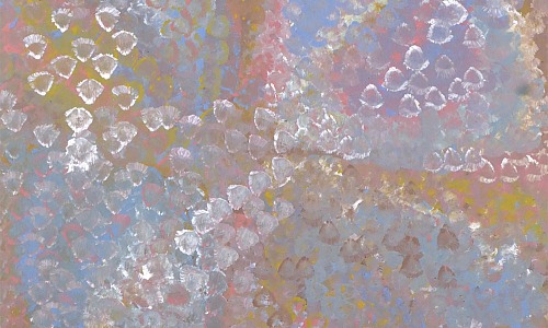 EMILY KAME KNGWARREYE Alhalkere1993