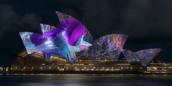 VIVID 26 OperaMundi