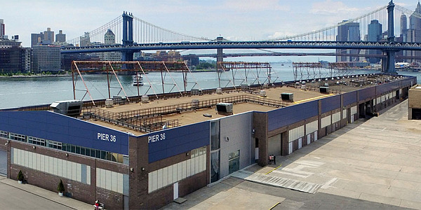 Independent NY